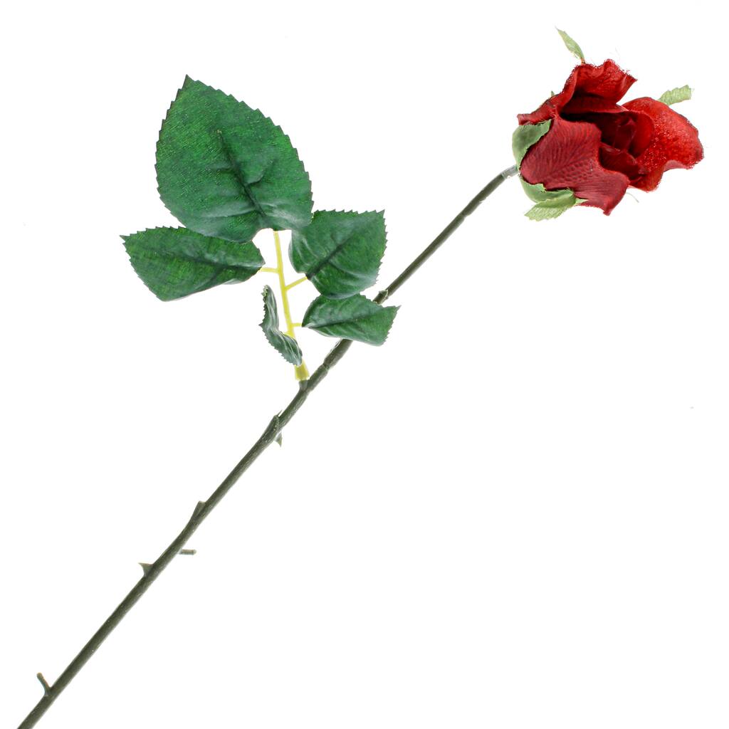 10297035.jpg img